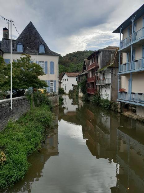 Maison Ichabelenia Salies-de-Béarn Exterior foto